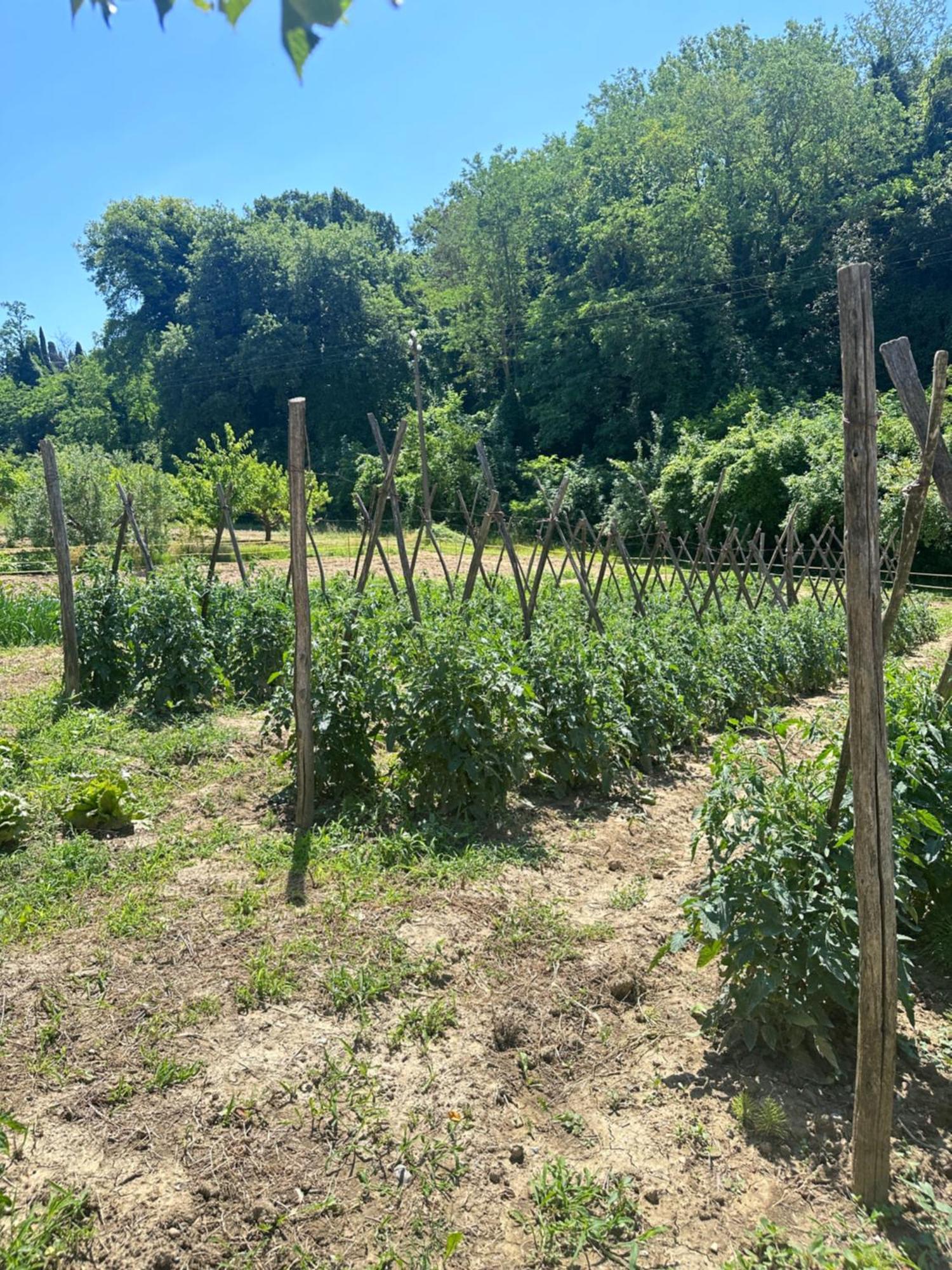 Villa Agriturismo San Biagio à Montepulciano Stazione Extérieur photo