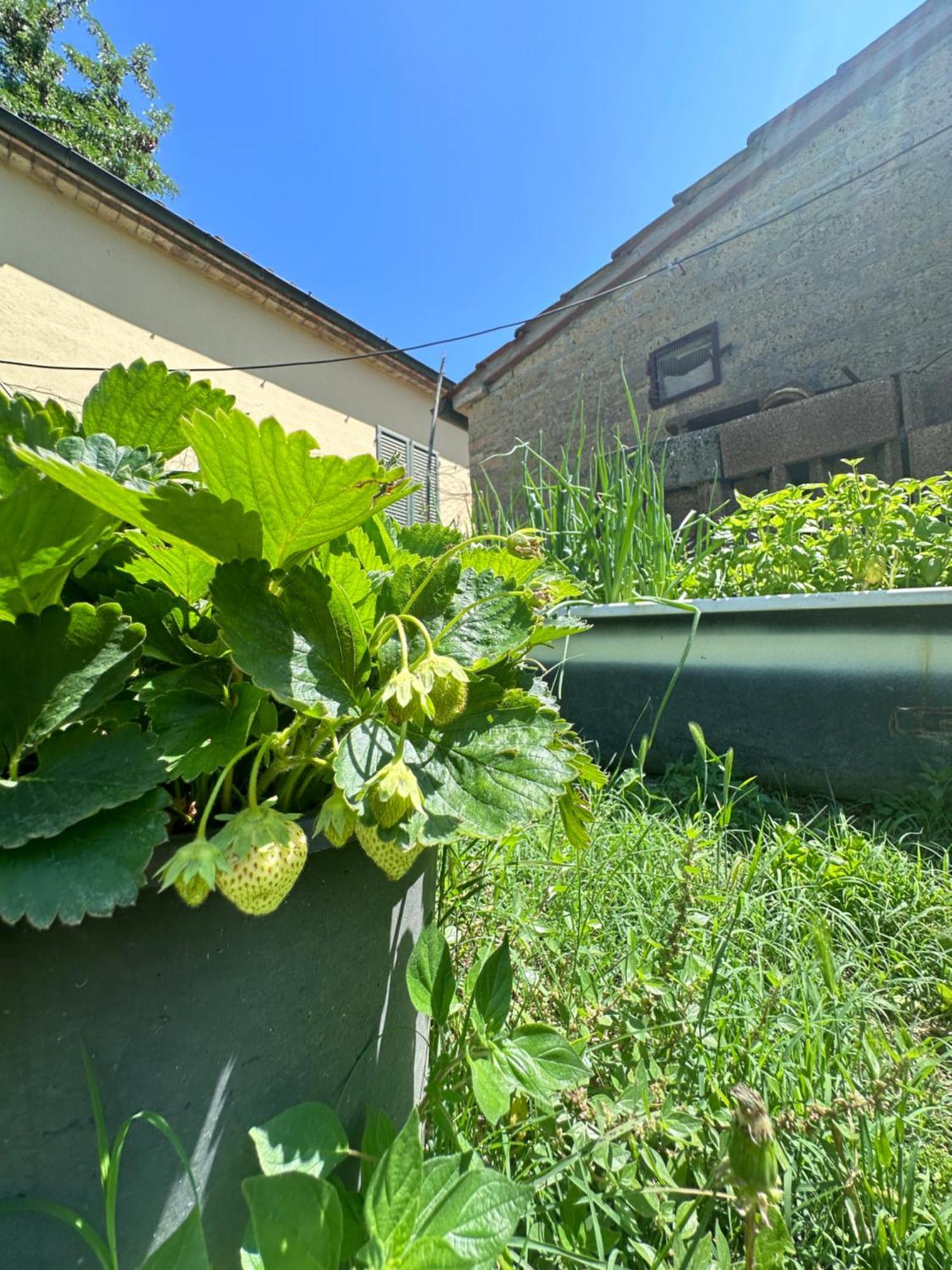 Villa Agriturismo San Biagio à Montepulciano Stazione Extérieur photo